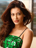 Payal Rohatgi in Corporate